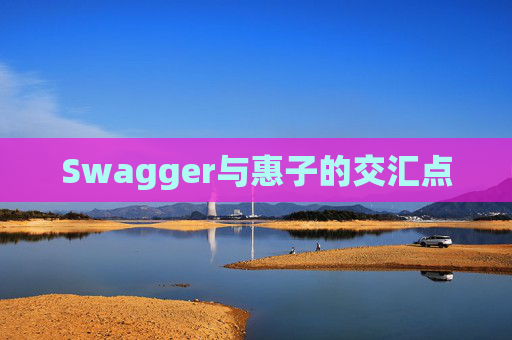 Swagger与惠子的交汇点